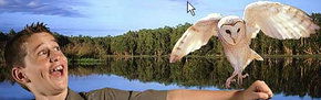 Territory Wildlife Park - Tourism TAS 2