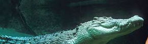 Territory Wildlife Park - Tourism TAS 3