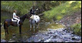 Glenworth Valley Horseriding - Tourism TAS 1