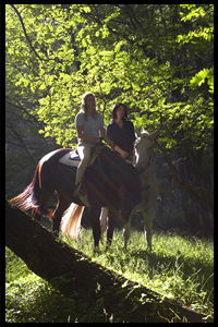 Glenworth Valley Horseriding - Tourism TAS 2