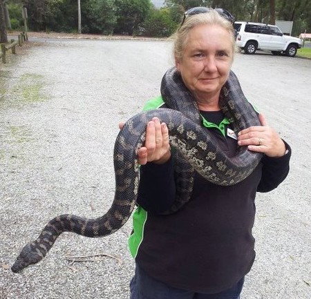 Gumbuya Park - Tourism TAS 2