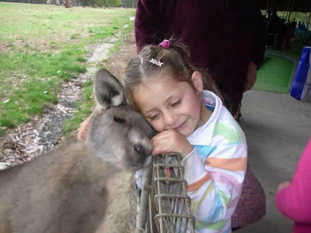 Gumbuya Park - Tourism TAS 3