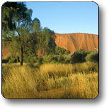 Uluru - Kata Tjuta National Park - Tourism TAS 0