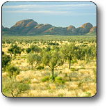 Uluru - Kata Tjuta National Park - Tourism TAS 2