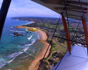 Tiger Moth World Adventure Park - Tourism TAS 1