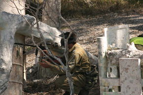 Action Paintball Games - Sydney - Hobart Tourism 3