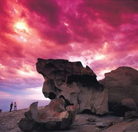Kangaroo Island Adventure Tour 2 day/1 night - Tourism TAS