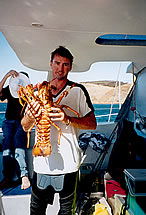 Temptation Sailing - Tourism TAS 3