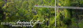 Rainforest Skywalk - Tourism TAS 2