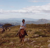 High Country Horses - Hobart Tourism