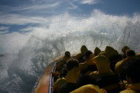 Jetboating Sydney - Tourism TAS 1