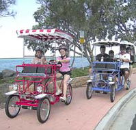 Beach Safaris - Tourism TAS