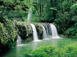 Hidden Valley Tours - Tourism TAS 2