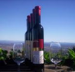 Mount Tamborine Winery  Homestead - Tourism TAS