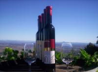 Mount Tamborine Winery & Homestead - Tourism TAS 0