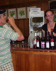 Mount Tamborine Winery & Homestead - Tourism TAS 2