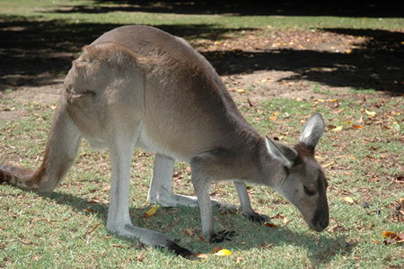 Bunbury Wildlife Park - Tourism TAS 1