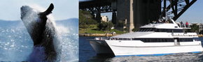 Prestige Harbour Cruises - Hobart Tourism 3
