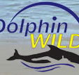 Dolphin Wild - Tourism TAS
