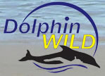 Dolphin Wild - Tourism TAS 0