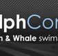 Dolphcom - Dolphin  Whale Swimming Adventures - Tourism TAS