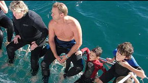 Dolphcom - Dolphin & Whale Swimming Adventures - Tourism TAS 2