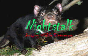 Something Wild - Tourism TAS 1