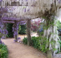 Abingdon Miniature Village - Tourism TAS