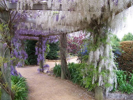 Abingdon Miniature Village - Tourism TAS 0