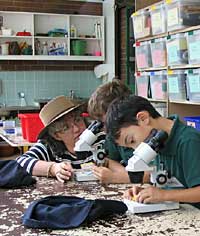 Australian National Botanic Gardens - Tourism TAS 2