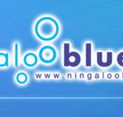 Ningaloo Blue Dive - Tourism TAS
