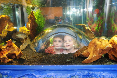 Scitech - Tourism TAS 3