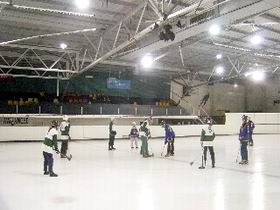 The Ice Arena - Tourism TAS 2