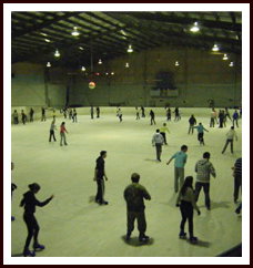 Bendigo Ice Stadium - Hobart Tourism 1