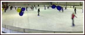 Bendigo Ice Stadium - Hobart Tourism 2