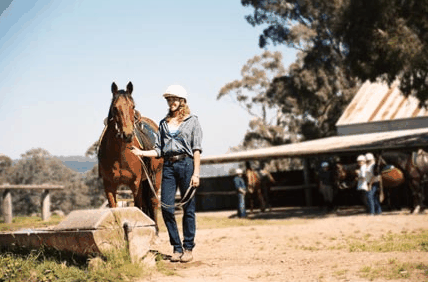 Watsons Trail Rides - Hobart Tourism