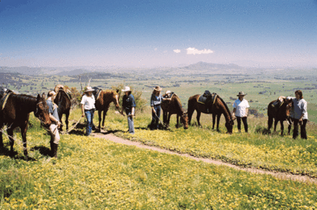 Watsons Trail Rides - Hobart Tourism 1
