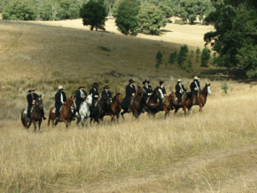 McCormacks Mountain Valley Trail Rides - Hobart Tourism