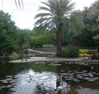 Brisbane City Botanic Gardens - Hobart Tourism
