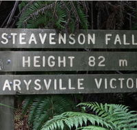 Stevensons Falls - Tourism TAS
