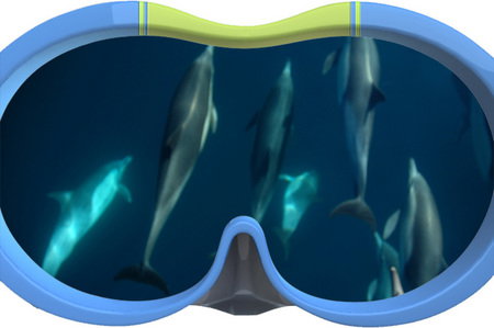 Dolphin Swim Australia - Tourism TAS 3