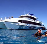 Silver Swift - Tourism TAS
