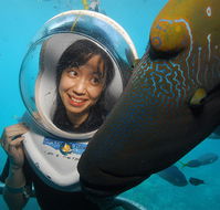 Sunlover Reef Cruises - Tourism TAS