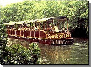 Daintree Rainforest River Trains - Tourism TAS 0