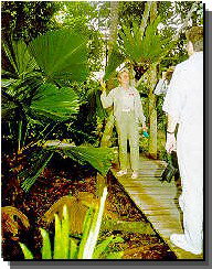 Daintree Rainforest River Trains - Tourism TAS 1
