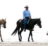 Ride the Beach - Tourism TAS
