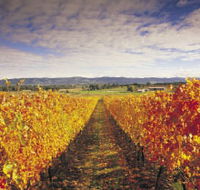 Link Tours - Tourism TAS