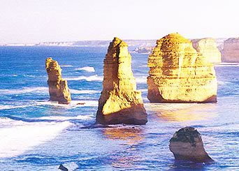 Bunyip Tours - Tourism TAS 3