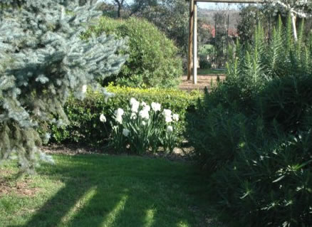 The Old Cheese Factory - Tourism TAS 2