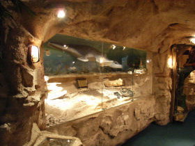 The National Opal Collection - Hobart Tourism 2